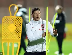 爱游戏-莱万多夫斯基焦点对战，Karsa与90激战塞尔维亚队分钟，重要助攻胜负难料！